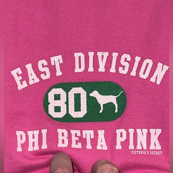 VS PINK ~ “East Division 80 Phi Beta Pink” Scarf {HTF} - Picture 6 of 14